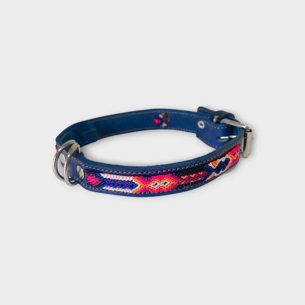 Blue Embroidered Dog Collar with Pink & Orange Accents